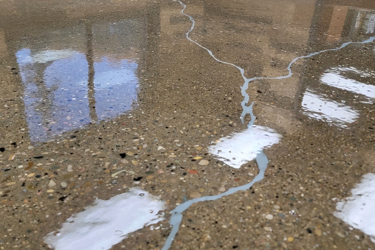 Your Concrete Has More Potential Than You Think Local Grind And Seal Concrete Flooring RDP Epoxy and Floor Coatings Michigan
